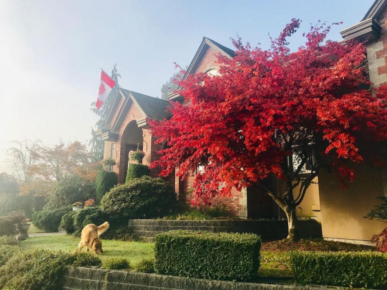 Cedar Manor Bed And Breakfast Pitt Meadows Extérieur photo